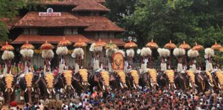 പൂരം നടത്തിപ്പ് പ്രതിസന്ധിയിൽ; ആനകളെ വിട്ടുനൽകില്ലെന്ന് ഉടമകൾ