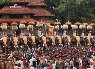 പൂരം നടത്തിപ്പ് പ്രതിസന്ധിയിൽ; ആനകളെ വിട്ടുനൽകില്ലെന്ന് ഉടമകൾ