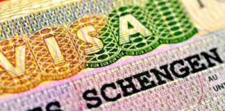 เดเดจเตเดคเตเดฏเดเตเดเดพเตผเดเตเดเตเดณเตเดณ Multi-entry Schengen Visa เดฎเดพเดจเดฆเดฃเตเดกเดเตเดเตพ เดฒเดเตเดเดฐเดฟเดเตเดเต เดฏเตเดฑเตเดชเตเดฏเตป เดฏเตเดฃเดฟเดฏเตป