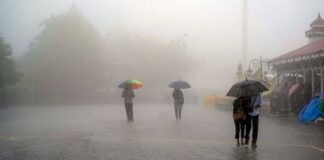 സംസ്ഥാനത്ത് ശക്തമായ മഴ; കോഴിക്കോട് വ്യാപക നാശനഷ്ടങ്ങൾ