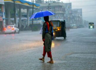 സംസ്ഥാനത്ത് കാലാവർഷമെത്തി; 14 ജില്ലകളിലും ഇന്ന് യെല്ലോ അലർട്ട്