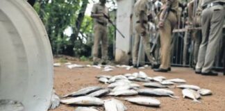പെരിയാർ മത്സ്യക്കുരുതിയിൽ തുടർനടപടികൾ വൈകും