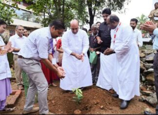 മാർ സ്ലീവാ മെഡിസിറ്റി പരിസ്ഥിതി ദിനാചാരണം നടത്തി