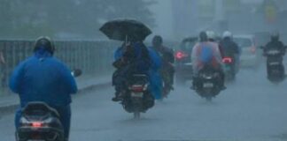 ന്യൂന മർദ്ദപാത്തി; 7 ജില്ലകളിൽ ഓറഞ്ച് അലർട്ട്, ഇന്ന് രേഖപ്പെടുത്തിയത് ഈ കാലവർഷ സീസണിലെ ഏറ്റവും കൂടിയ മഴ