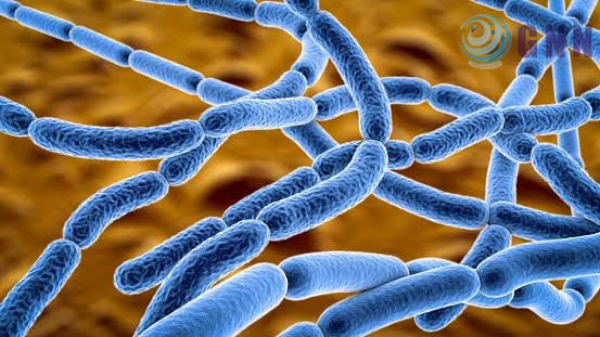 images - 2024-06-19T130857.589