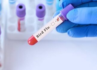 ലോകത്ത് ആദ്യമായി പക്ഷിപ്പനി ബാധിച്ച് മനുഷ്യമരണം സ്ഥിരീകരിച്ചു