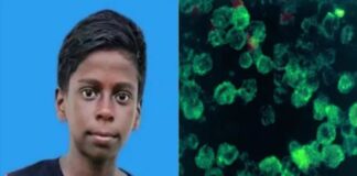 സംസ്ഥാനത്ത് അമീബിക് മസ്തിഷ്ക ജ്വരം ബാധിച്ച് ഒരു മരണം കൂടി; അമീബിക് മസ്തിഷ്ക ജ്വരം ബാധിച്ച് മരിക്കുന്ന കുട്ടികളുടെ എണ്ണം മൂന്നായി