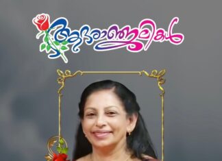 മയോയിൽ വാഹനാപകടം: മലയാളി നേഴ്സിന് ദാരുണാന്ത്യം