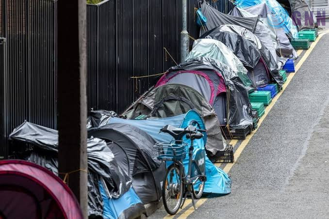 images - 2024-08-01T223001.000