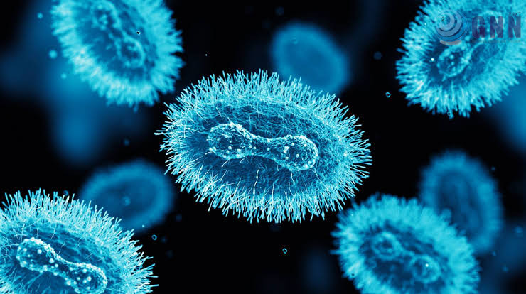 images - 2024-08-15T222555.503