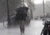 Storm Lilian: ഇന്ന് രാത്രി ശക്തമായ മഴ; യെല്ലോ മഴ മുന്നറിയിപ്പ് നൽകി Met Eireann