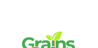 Grocery Shopping is Now Twice as Easy with Grains & Spice!