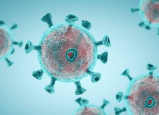 เด
เดฏเตผเดฒเดฃเตเดเดฟเตฝ เดเตเดตเดฟเดกเต XEC เดตเตเดฐเดฟเดฏเตปเตเดฑเต เดธเตเดฅเดฟเดฐเตเดเดฐเดฟเดเตเดเต