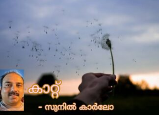 ഒരു ചെറുകഥ – കാറ്റ്