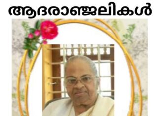 അയർലണ്ട് മലയാളി സഹോദരങ്ങളുടെ മാതാവ് മോനിപ്പള്ളി പാലക്കത്തടത്തിൽ എലിയാമ്മ വർക്കി നിര്യാതയായി