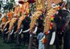 ആന എഴുന്നള്ളിപ്പ്; മാർഗനിർദേശങ്ങളിൽ മാറ്റമില്ലെന്ന് ഹൈക്കോടതി