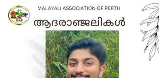 ഡബ്ലിൻ മുൻ നിവാസി റോയൽ തോമസിന്റെ മകൻ ആഷിൻ റോയൽ അപകടത്തിൽ മരിച്ചു