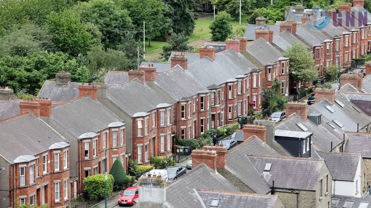 images - 2024-12-10T194015.560