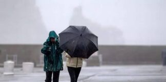 ശക്തമായ മഴയും കാറ്റും; ഇന്നും നാളെയും യെല്ലോ അലേർട്ട്