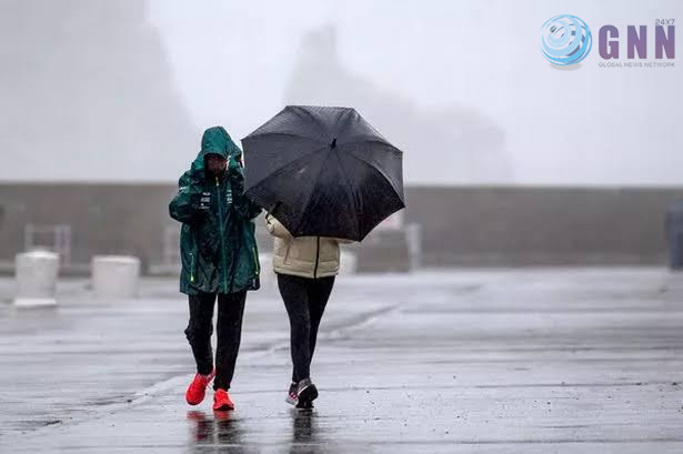 images - 2024-12-30T184433.918