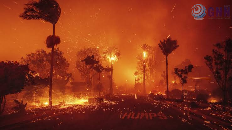 images - 2025-01-10T145821.060