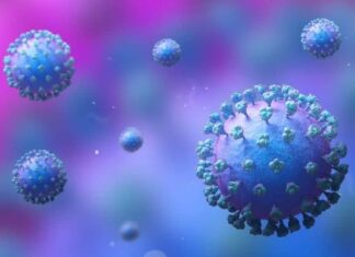 ഹ്യൂമൻ മെറ്റന്യൂമോവൈറസ്; ചൈനയിലെ പുതിയ വൈറസ് ബാധയിൽ മുൻകരുതൽ പ്രധാനമെന്ന് ഡയറക്ടറേറ്റ് ജനറൽ ഓഫ് ഹെൽത്ത് സർവീസസ്