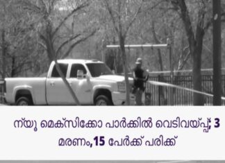 ന്യൂ മെക്സിക്കോ പാർക്കിൽ നടന്ന വെടിവയ്പ്പിൽ 3 മരണം 15 പേർക്ക് പരിക്ക്