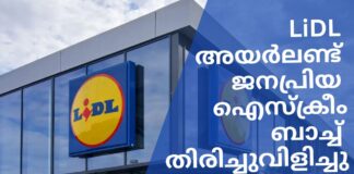 രാസ ഗന്ധവും രുചിയും: Lidl സൂപ്പർമാർക്കറ്റ് ജനപ്രിയ ഐസ്ക്രീമിന്റെ ബാച്ച് തിരിച്ചുവിളിച്ചു