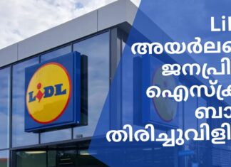 രാസ ഗന്ധവും രുചിയും: Lidl സൂപ്പർമാർക്കറ്റ് ജനപ്രിയ ഐസ്ക്രീമിന്റെ ബാച്ച് തിരിച്ചുവിളിച്ചു