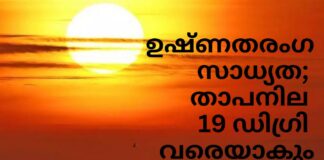 เดเดทเตเดฃเดคเดฐเดเด เดธเดพเดงเตเดฏเดค; เดคเดพเดชเดจเดฟเดฒ 19 เดกเดฟเดเตเดฐเดฟ เดตเดฐเตเดฏเดพเดเตเด
