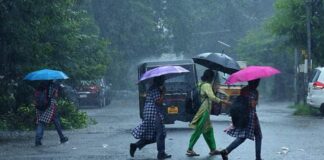 അതിതീവ്ര മഴ തുടരുന്ന സാഹചര്യത്തിൽ സംസ്ഥാനത്തെ അഞ്ച് ജില്ലകളിൽ നാളെ വിദ്യാഭ്യാസ സ്ഥാപനങ്ങൾക്ക് അവധി പ്രഖ്യാപിച്ചു.