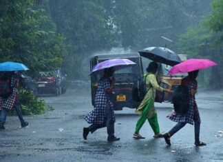 അതിതീവ്ര മഴ തുടരുന്ന സാഹചര്യത്തിൽ സംസ്ഥാനത്തെ അഞ്ച് ജില്ലകളിൽ നാളെ വിദ്യാഭ്യാസ സ്ഥാപനങ്ങൾക്ക് അവധി പ്രഖ്യാപിച്ചു.