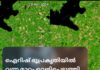 เดเดฑเดฟเดทเต เดญเตเดชเตเดฐเดเตเดคเดฟเดฏเดฟเตฝ เดตเดจเตเดจ เดฎเดพเดฑเตเดฑเด เดตเตเดณเดฟเดชเตเดชเตเดเตเดคเตเดคเดฟ เดเดชเดเตเดฐเดน เดเดฟเดคเตเดฐเดเตเดเตพ