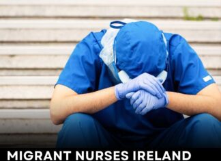 Migrant Nurses Ireland (MNI) Takes Strong Stand Following GNN 24×7 Report on Fake Offer Letters