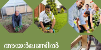 അയർലണ്ടിൽ വൃക്ഷതൈകൾ നട്ടു