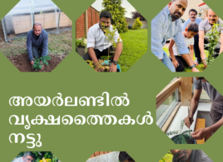 അയർലണ്ടിൽ വൃക്ഷതൈകൾ നട്ടു