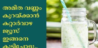 അമിതവണ്ണം കുറയ്ക്കാന് കറ്റാര്വാഴ ജ്യൂസ് ഇങ്ങനെ കുടിച്ചോളൂ..