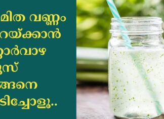 അമിതവണ്ണം കുറയ്ക്കാന് കറ്റാര്വാഴ ജ്യൂസ് ഇങ്ങനെ കുടിച്ചോളൂ..