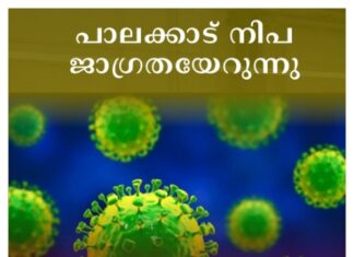 പാലക്കാട് നിപ ജാഗ്രതയേറുന്നു; ഹൈ റിസ്ക് കോൺടാക്ട് ലിസ്റ്റിലുള്ള രണ്ട് പേർക്ക് പനി ബാധിച്ചു