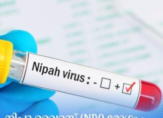 നിപാ വൈറസ് (NiV) രോഗം – ഒരു പൊതു ആരോഗ്യ മുൻകരുതൽ