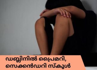 ഡബ്ലിനിലെ പ്രൈമറി, സെക്കൻഡറി സ്കൂൾ കുട്ടികൾക്കിടയിൽ മയക്കുമരുന്ന് ഉപയോഗം വർദ്ധിക്കുന്നതായി കണ്ടെത്തൽ