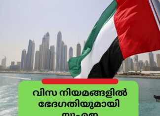 വിസ നിയമങ്ങളിൽ ഭേദഗതിയുമായി യുഎഇ; വിസിറ്റിംഗ് വിസയ്ക്ക് നാല് വിഭാഗങ്ങള് കൂടി ഉൾപ്പെടുത്തും