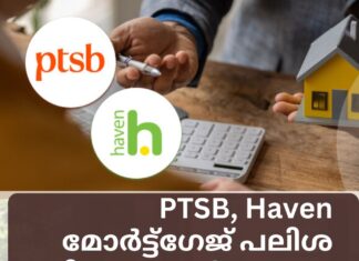 PTSB, Haven മോർട്ട്ഗേജ് പലിശ നിരക്കുകൾ കുറച്ചു