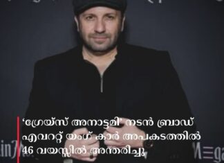 ‘ഗ്രേയ്സ് അനാട്ടമി’ നടൻ ബ്രാഡ് എവററ്റ് യംഗ് കാർ അപകടത്തിൽ 46 വയസ്സിൽ അന്തരിച്ചു