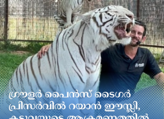 ഒക്ലഹോമയിലെ ഗ്രൗളർ പൈൻസ് ടൈഗർ പ്രിസർവിൽ റയാൻ ഈസ്ലി, കടുവയുടെ ആക്രമണത്തിൽ കൊല്ലപ്പെട്ടു.