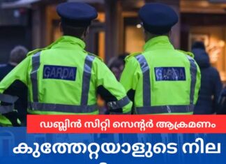 ഡബ്ലിൻ സിറ്റി സെന്റർ ആക്രമണം; കുത്തേറ്റയാളുടെ നില അതീവ ഗുരുതരം