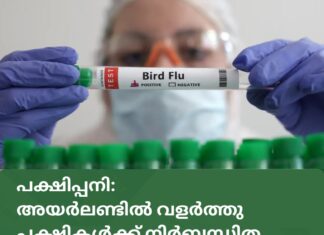 പക്ഷിപ്പനി: അയർലണ്ടിൽ വളർത്തു പക്ഷികൾക്ക് നിർബന്ധിത ഹൗസിംഗ് ഓർഡർ ഏർപ്പെടുത്തി