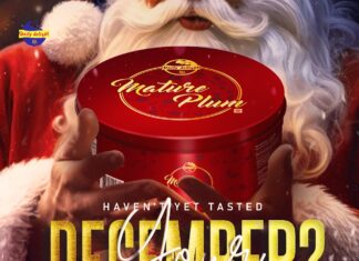 ഈ ക്രിസ്മസും സ്പെഷ്യൽ ആക്കാൻ Daily Delight