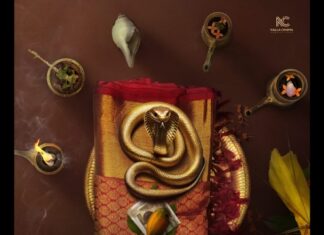 ‘രാജകുമാരി’ ടൈറ്റിൽ പോസ്റ്റർ മഞ്ജു വാര്യർ പ്രകാശനം ചെയ്തു