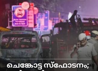 ചെങ്കോട്ട സ്ഫോടനം; സർക്കാർ ജീവനക്കാരടക്കം 10 പേർ കസ്റ്റഡിയിൽ